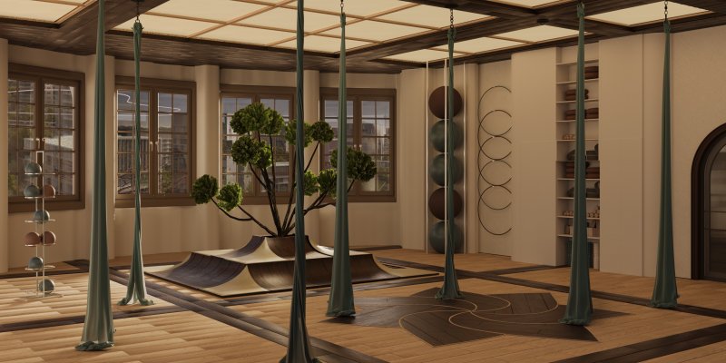 aerial yoga - natalia witek.jpg